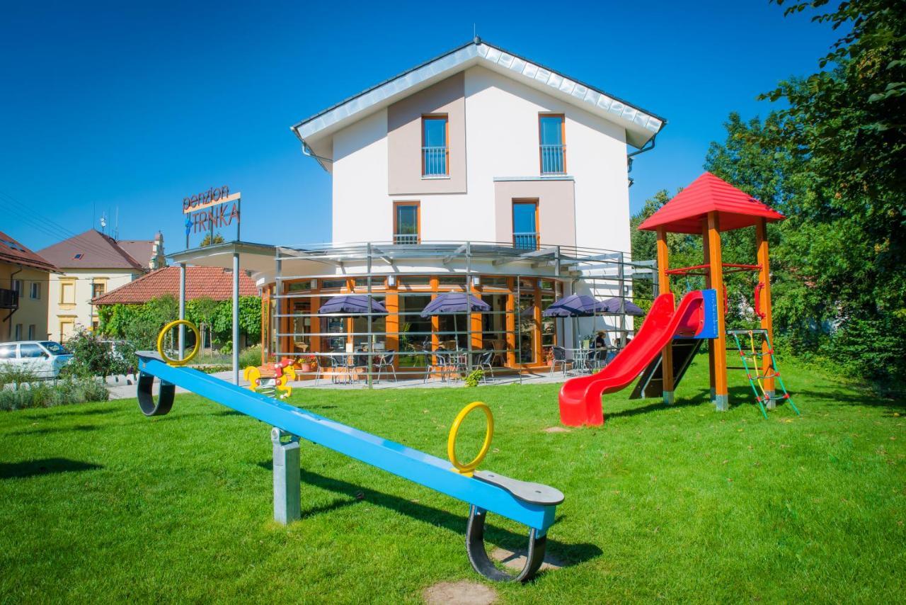 Penzion Trnka Potštejn Dış mekan fotoğraf